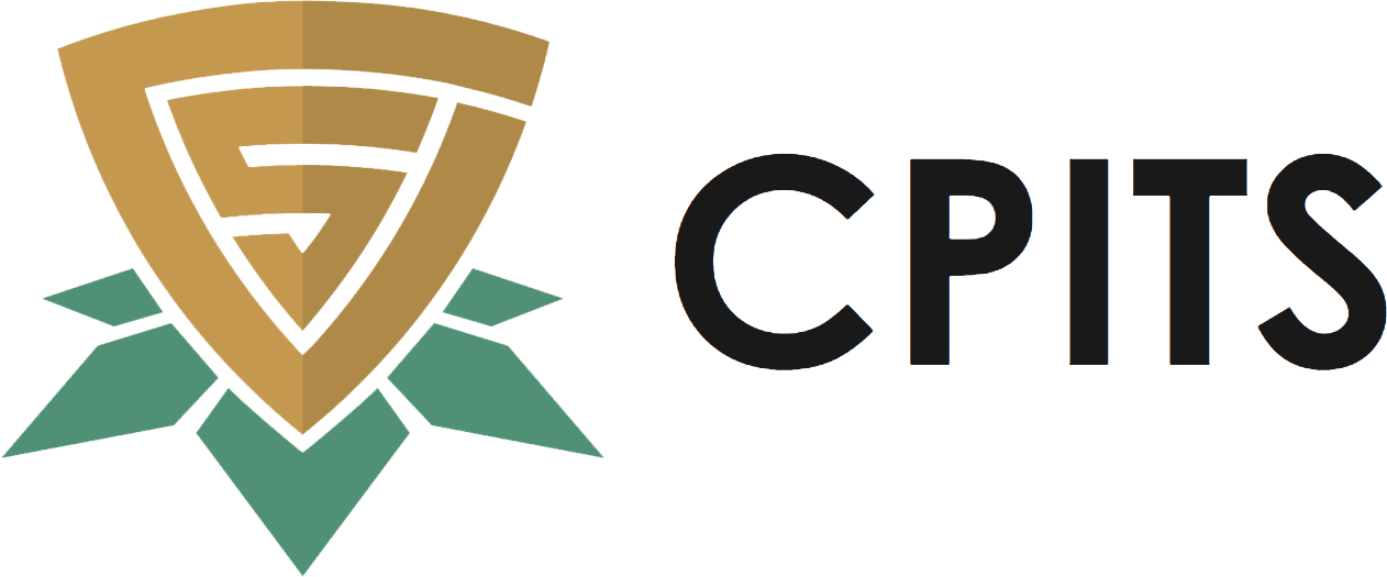 CPITS 2020